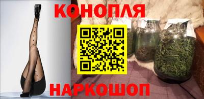 крисы Гусев