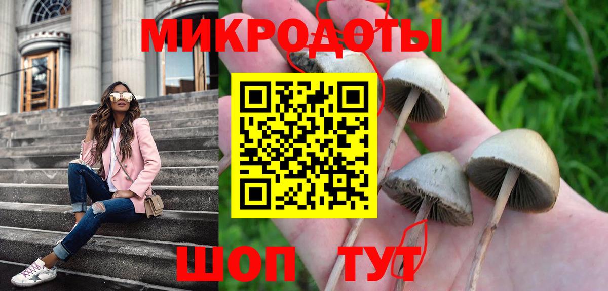Галлюциногенные грибы GOLDEN TEACHER  Псилоцибиновые грибы Magic Shrooms  Вход с VPN  Троицк 